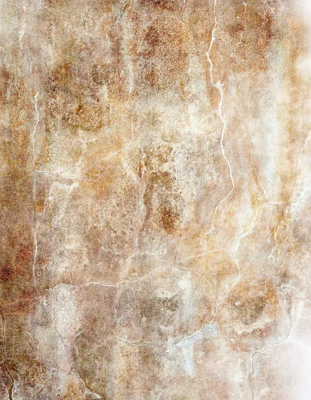 Neutral 6X8 Fleece ( 72 X 96 Inch ) Backdrop