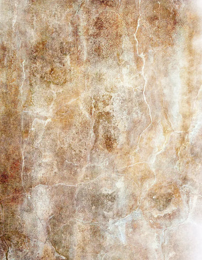 Neutral 6X8 Fleece ( 72 X 96 Inch ) Backdrop