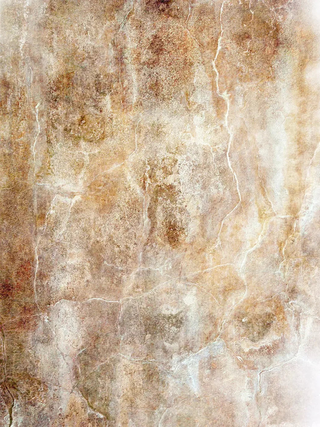 Neutral 8X10 Fleece ( 96 X 120 Inch ) Backdrop