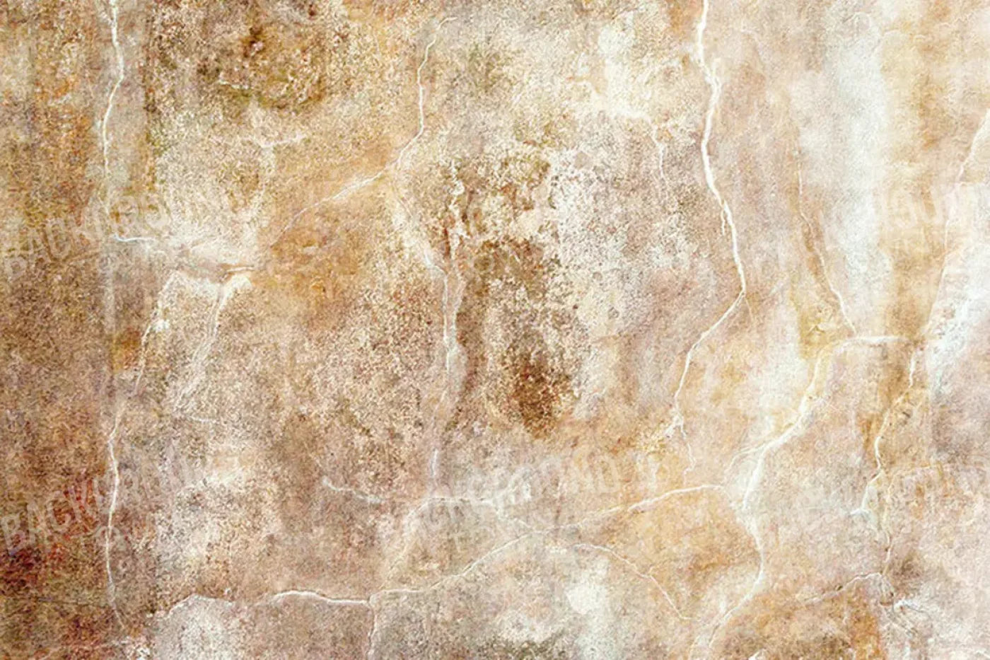 Neutral 8X5 Ultracloth ( 96 X 60 Inch ) Backdrop