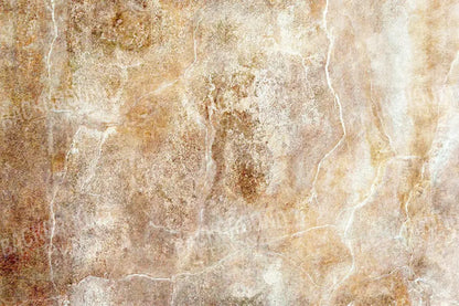 Neutral 8X5 Ultracloth ( 96 X 60 Inch ) Backdrop