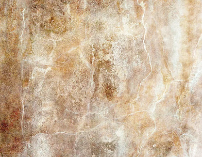 Neutral 8X6 Fleece ( 96 X 72 Inch ) Backdrop