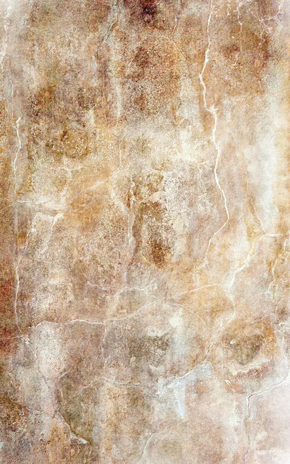 Neutral 9X14 Ultracloth ( 108 X 168 Inch ) Backdrop