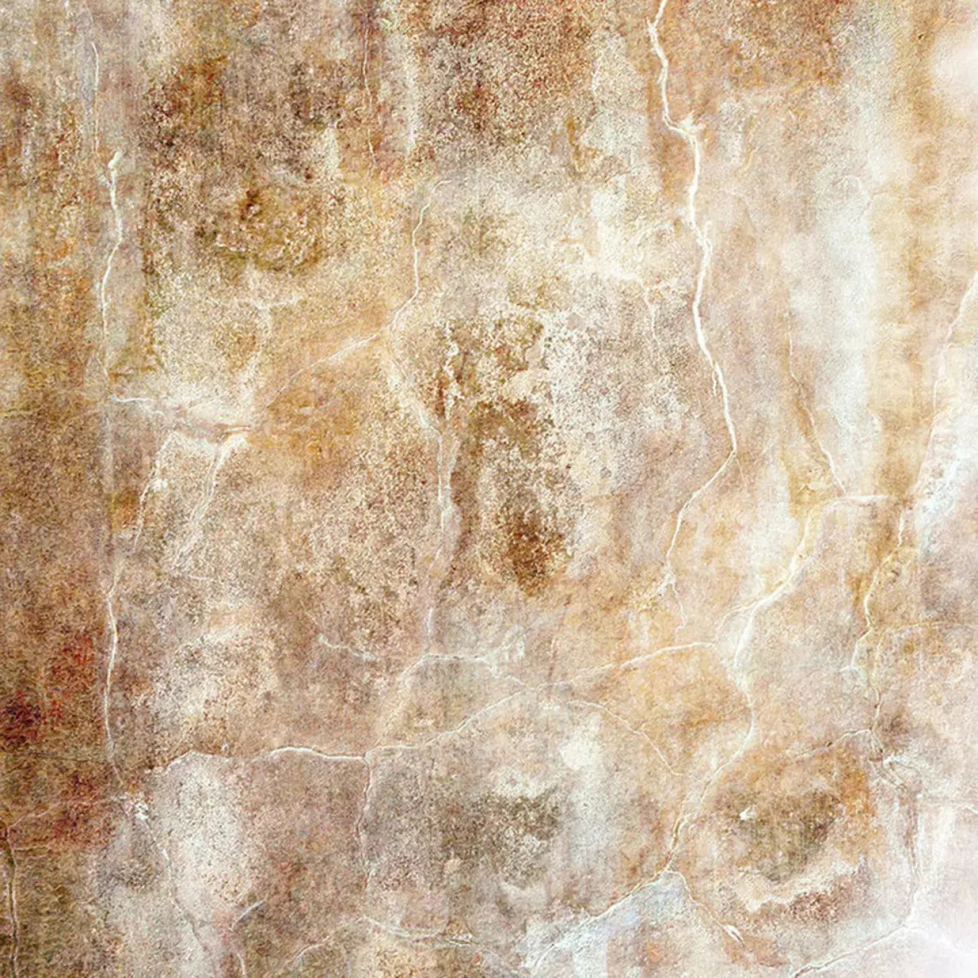 Neutral Backdrop