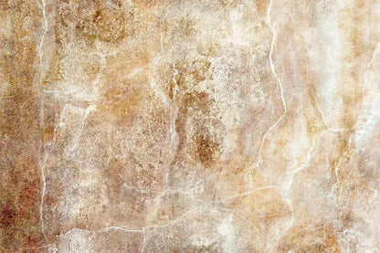 Neutral Backdrop