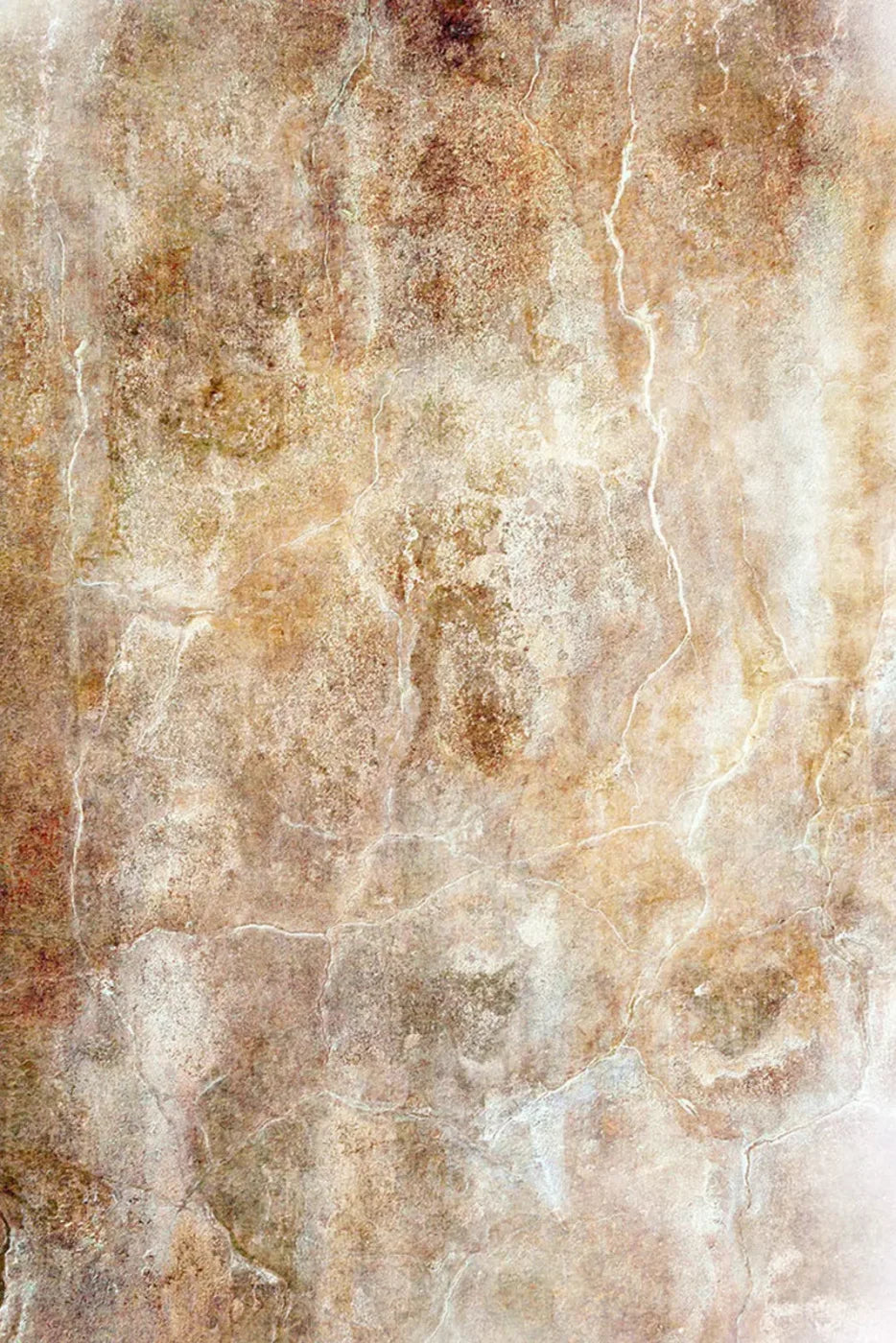 Neutral Backdrop