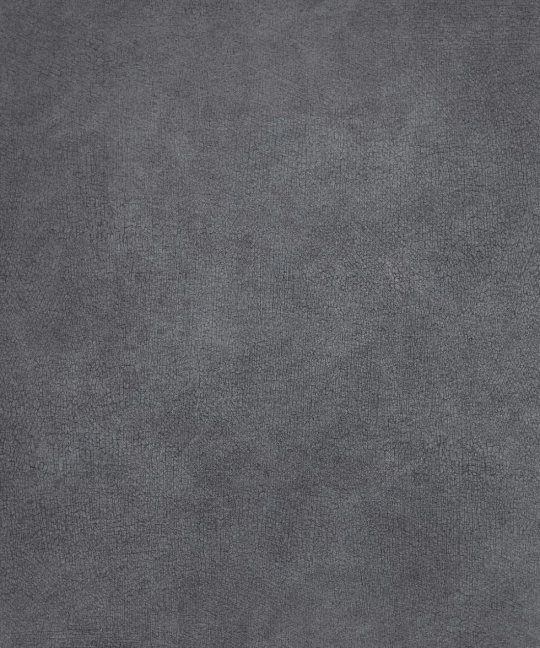 Gray Classic and Masters Backdrop for Photography