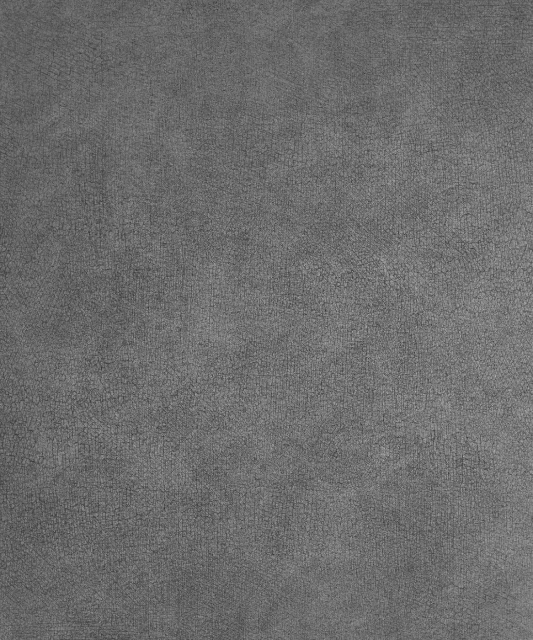 Gray Classic and Masters Backdrop for Photography