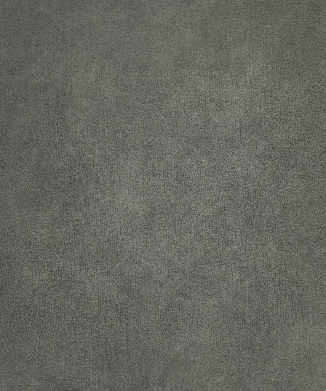 Gray Classic and Masters Backdrop for Photography