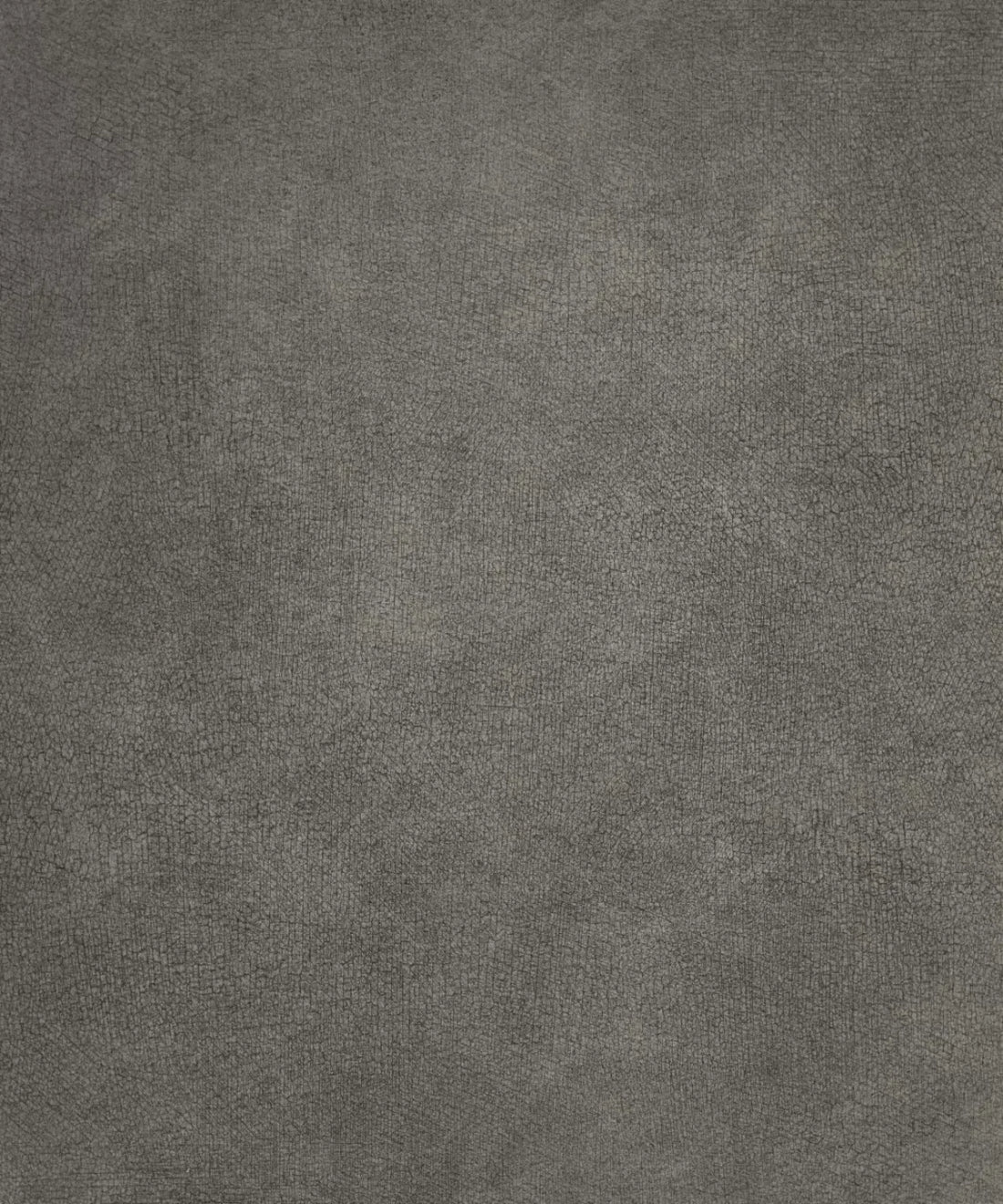 Gray Classic and Masters Backdrop for Photography