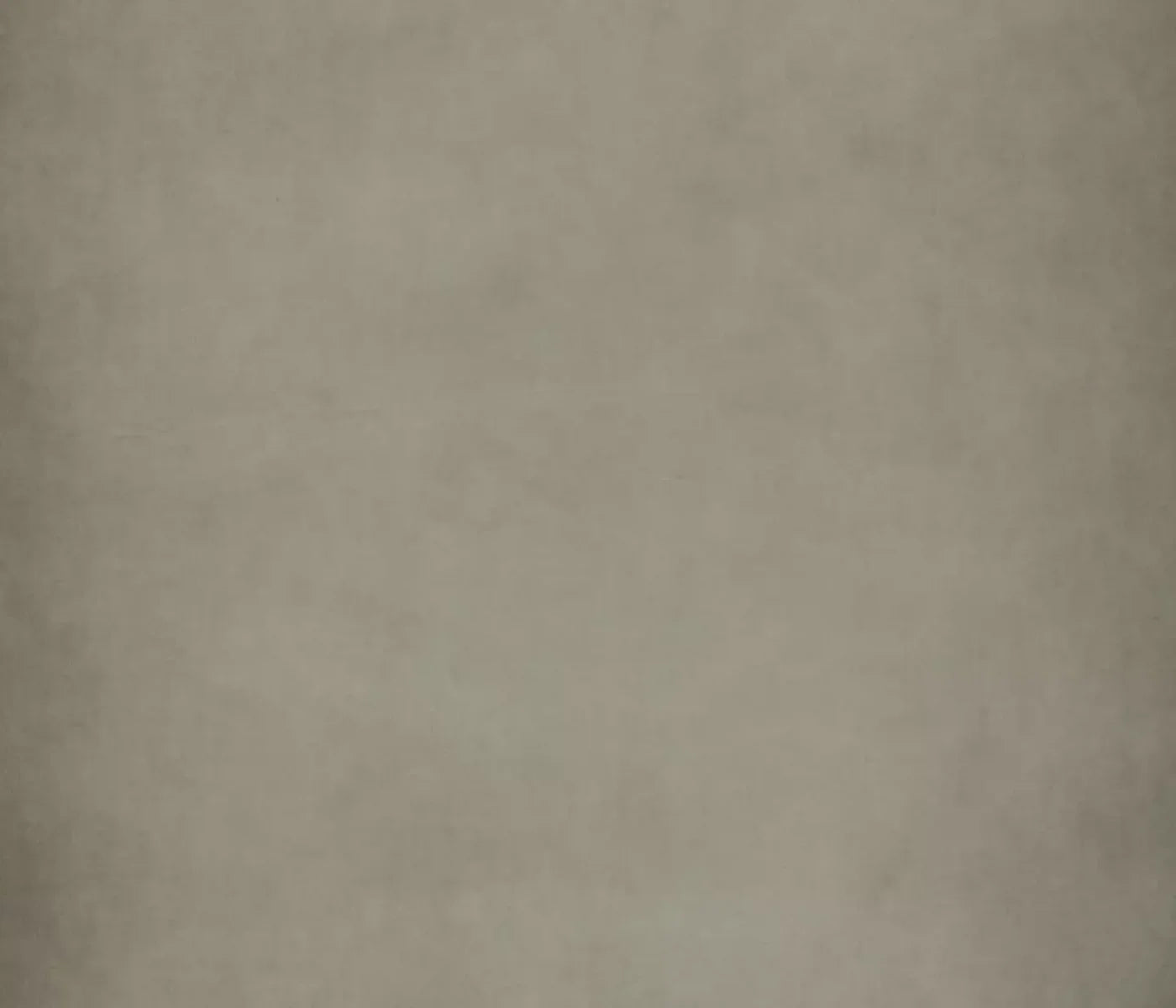 Neutral Zone 12X10 Ultracloth ( 144 X 120 Inch ) Backdrop