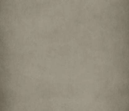 Neutral Zone 12X10 Ultracloth ( 144 X 120 Inch ) Backdrop