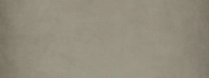 Neutral Zone 20X8 Ultracloth ( 240 X 96 Inch ) Backdrop