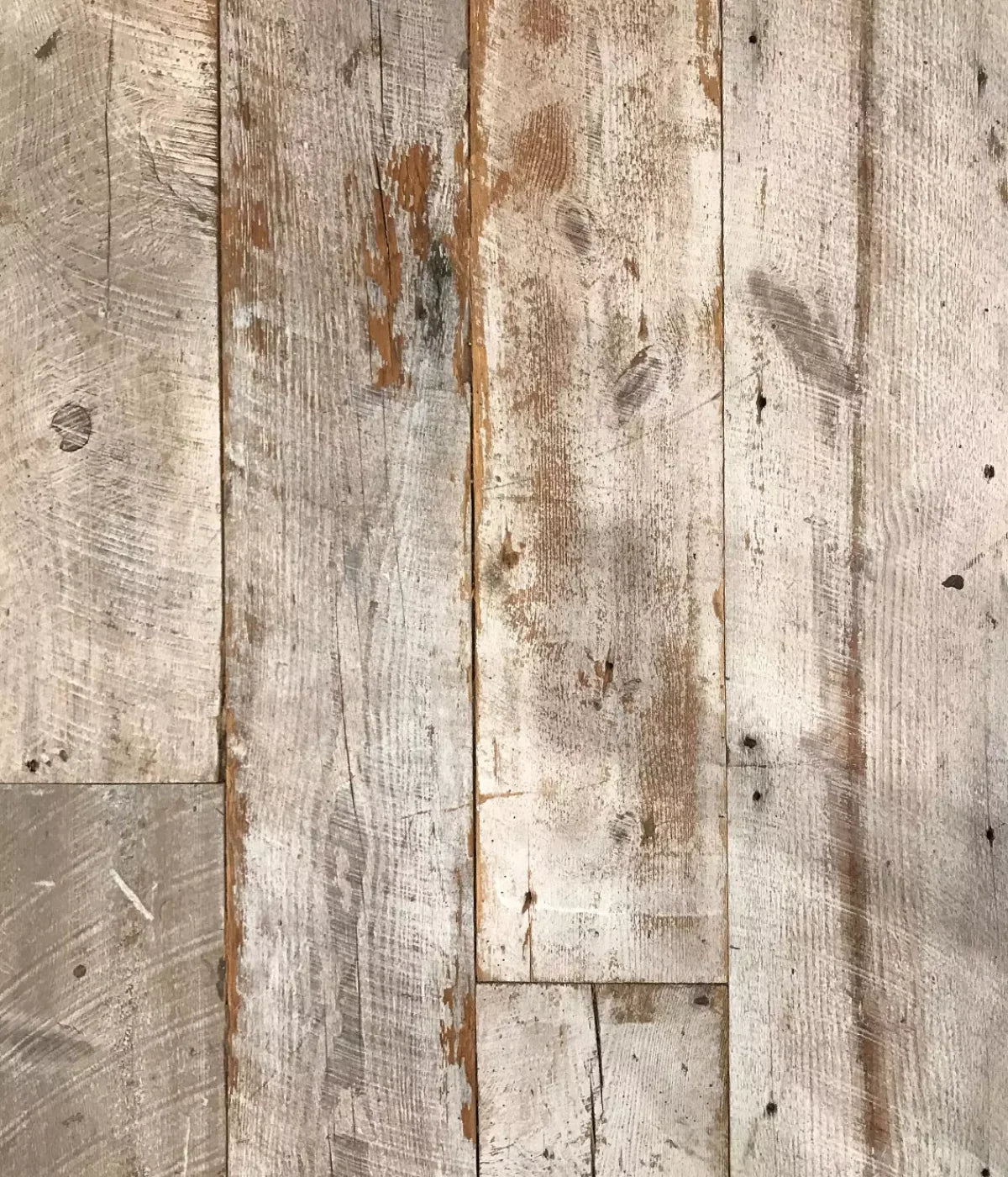 Newport 10’x12’ UltraCloth (120 x 144 inch) Backdrop