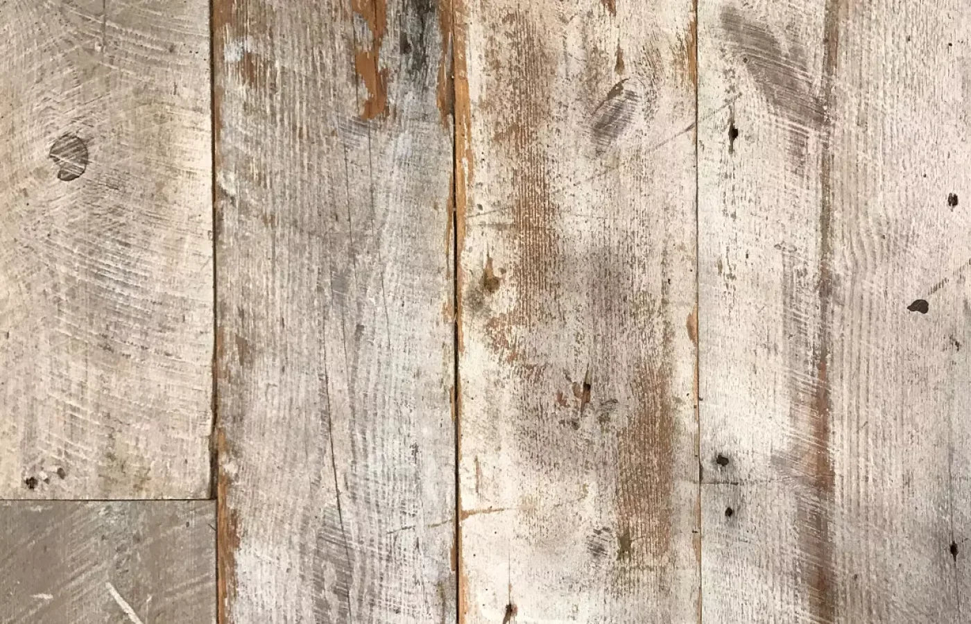 Newport 12’x8’ UltraCloth (144 x 96 inch) Backdrop