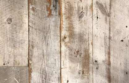 Newport 12’x8’ UltraCloth (144 x 96 inch) Backdrop