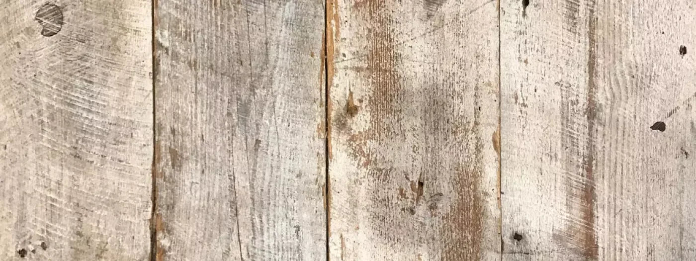 Newport 20’x8’ UltraCloth (240 x 96 inch) Backdrop