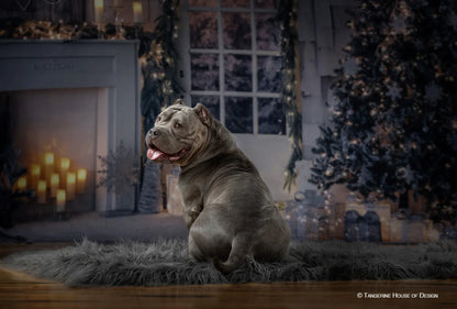 Night Before Christmas Backdrop