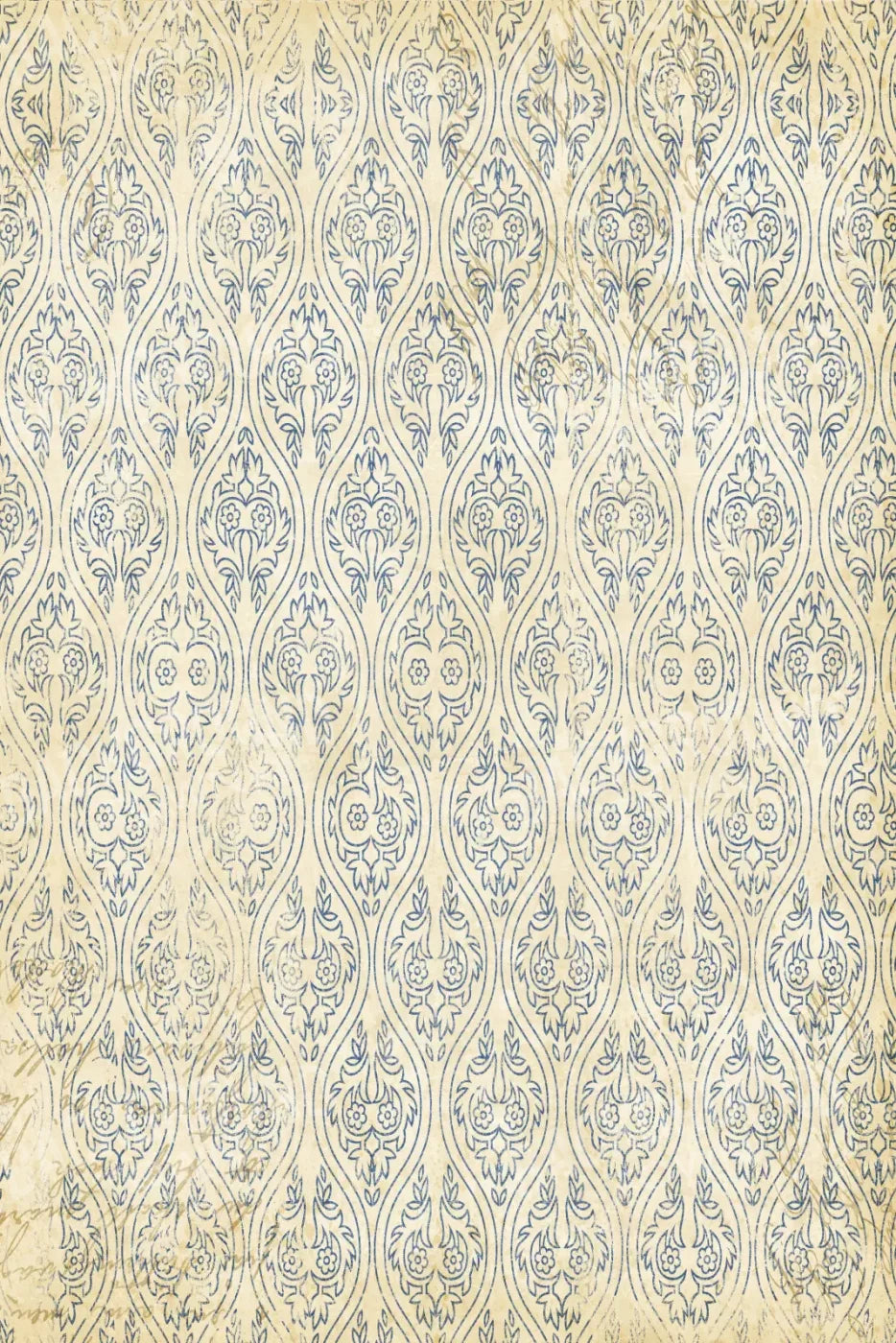 Noah 5X8 Ultracloth ( 60 X 96 Inch ) Backdrop