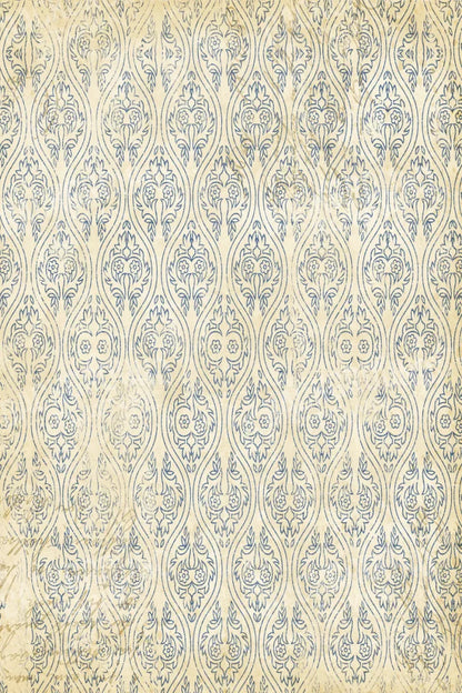 Noah 5X8 Ultracloth ( 60 X 96 Inch ) Backdrop