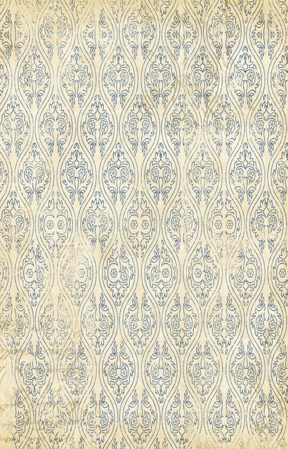 Noah 8X12 Ultracloth ( 96 X 144 Inch ) Backdrop