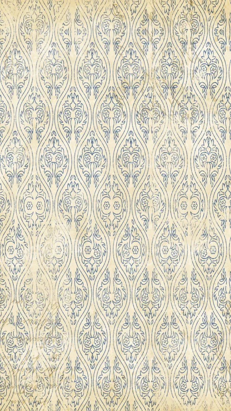 Noah 8X14 Ultracloth ( 96 X 168 Inch ) Backdrop