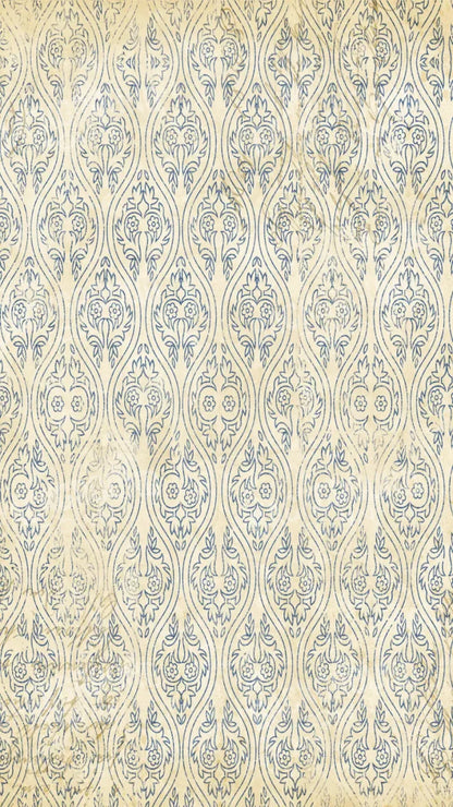 Noah 8X14 Ultracloth ( 96 X 168 Inch ) Backdrop