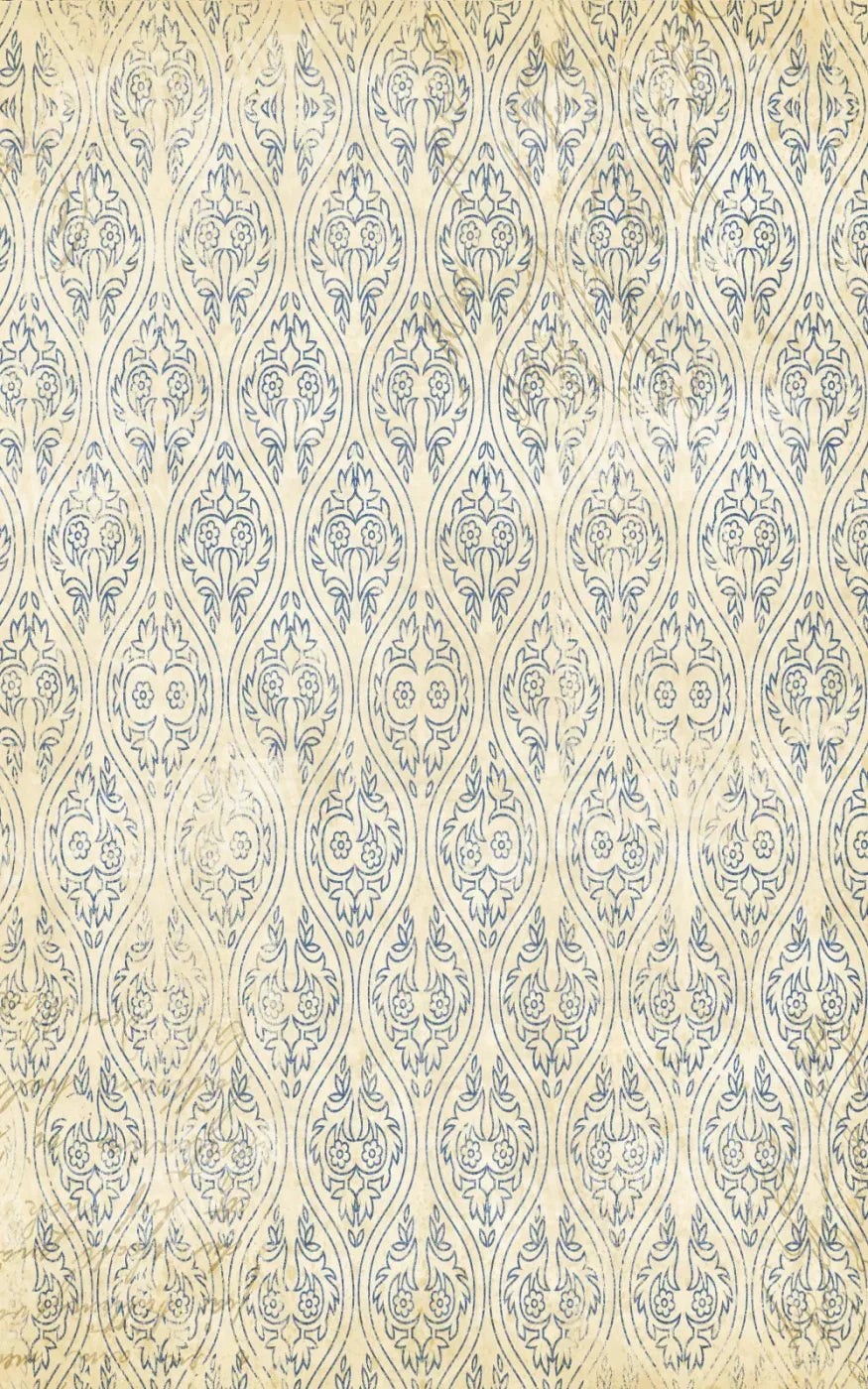 Noah 9X14 Ultracloth ( 108 X 168 Inch ) Backdrop