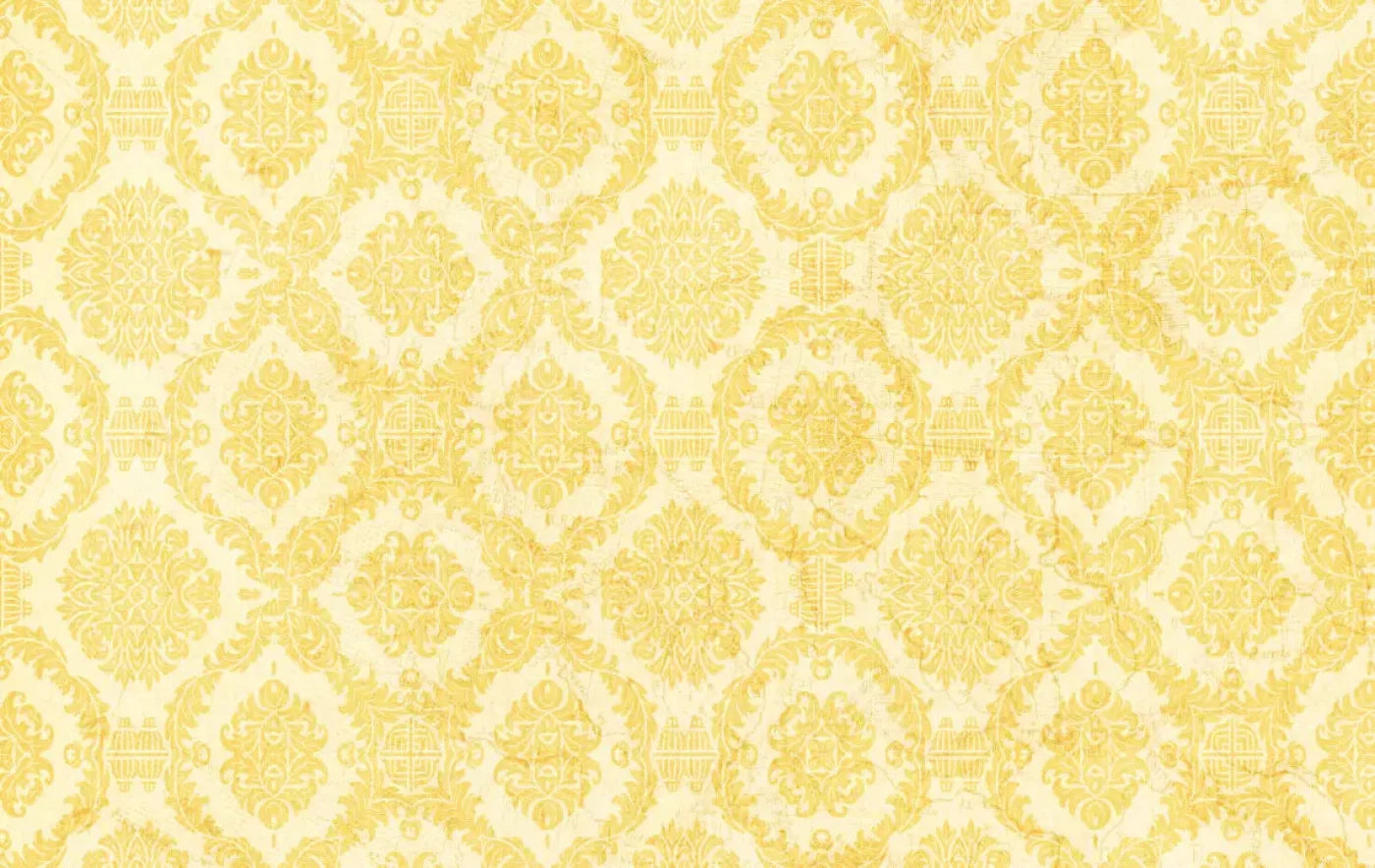 Noemi 16X10 Ultracloth ( 192 X 120 Inch ) Backdrop