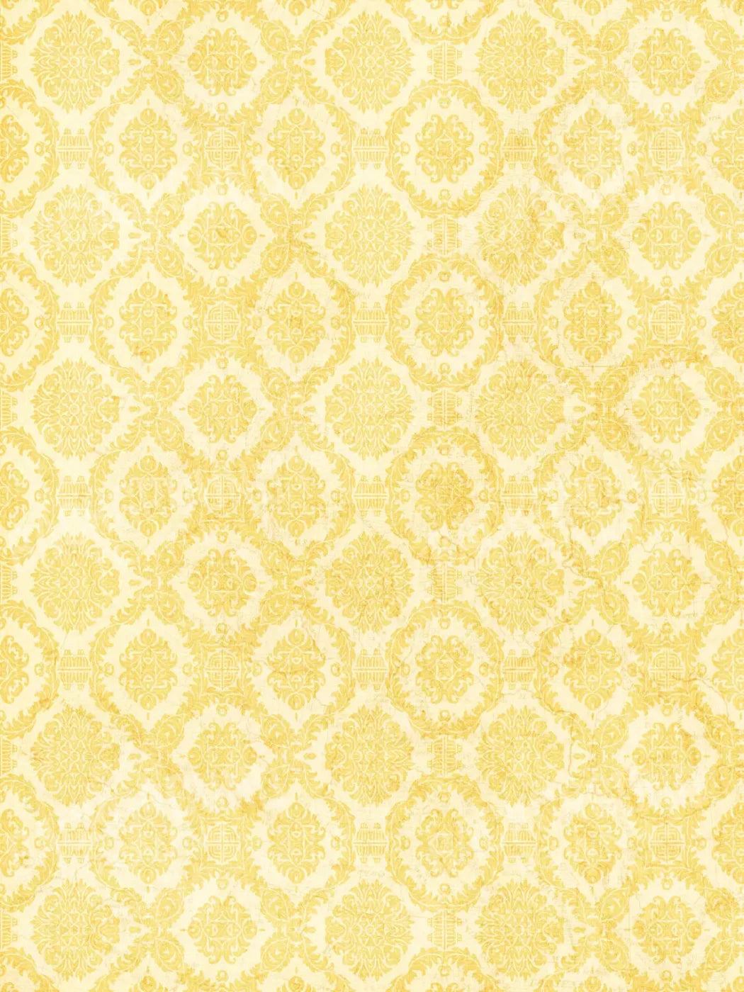 Noemi 5X68 Fleece ( 60 X 80 Inch ) Backdrop
