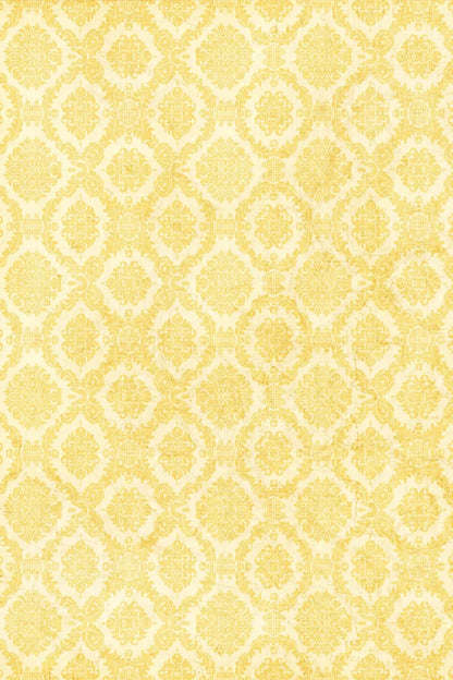 Noemi 5X8 Ultracloth ( 60 X 96 Inch ) Backdrop