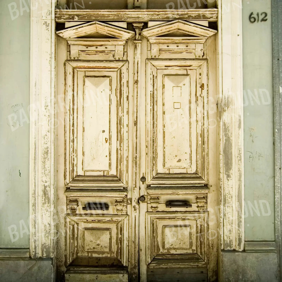 Nola Doors 10X10 Ultracloth ( 120 X Inch ) Backdrop