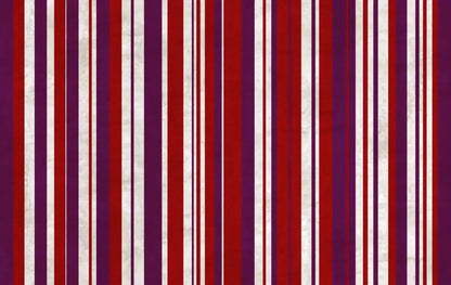 Nona 16X10 Ultracloth ( 192 X 120 Inch ) Backdrop