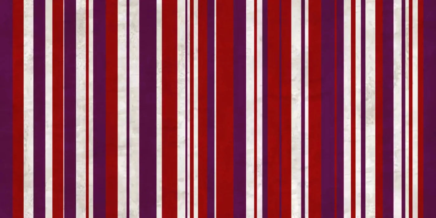 Nona 20X10 Ultracloth ( 240 X 120 Inch ) Backdrop