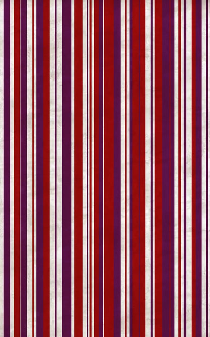 Nona 9X14 Ultracloth ( 108 X 168 Inch ) Backdrop