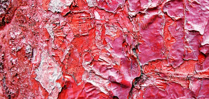 Nook 16X8 Ultracloth ( 192 X 96 Inch ) Backdrop