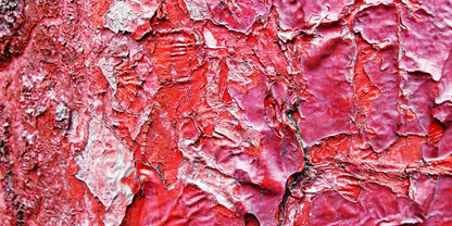 Nook 20X10 Ultracloth ( 240 X 120 Inch ) Backdrop