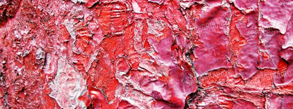 Nook 20X8 Ultracloth ( 240 X 96 Inch ) Backdrop