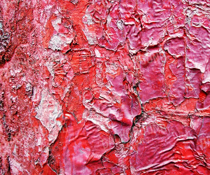 Nook 5X42 Fleece ( 60 X 50 Inch ) Backdrop