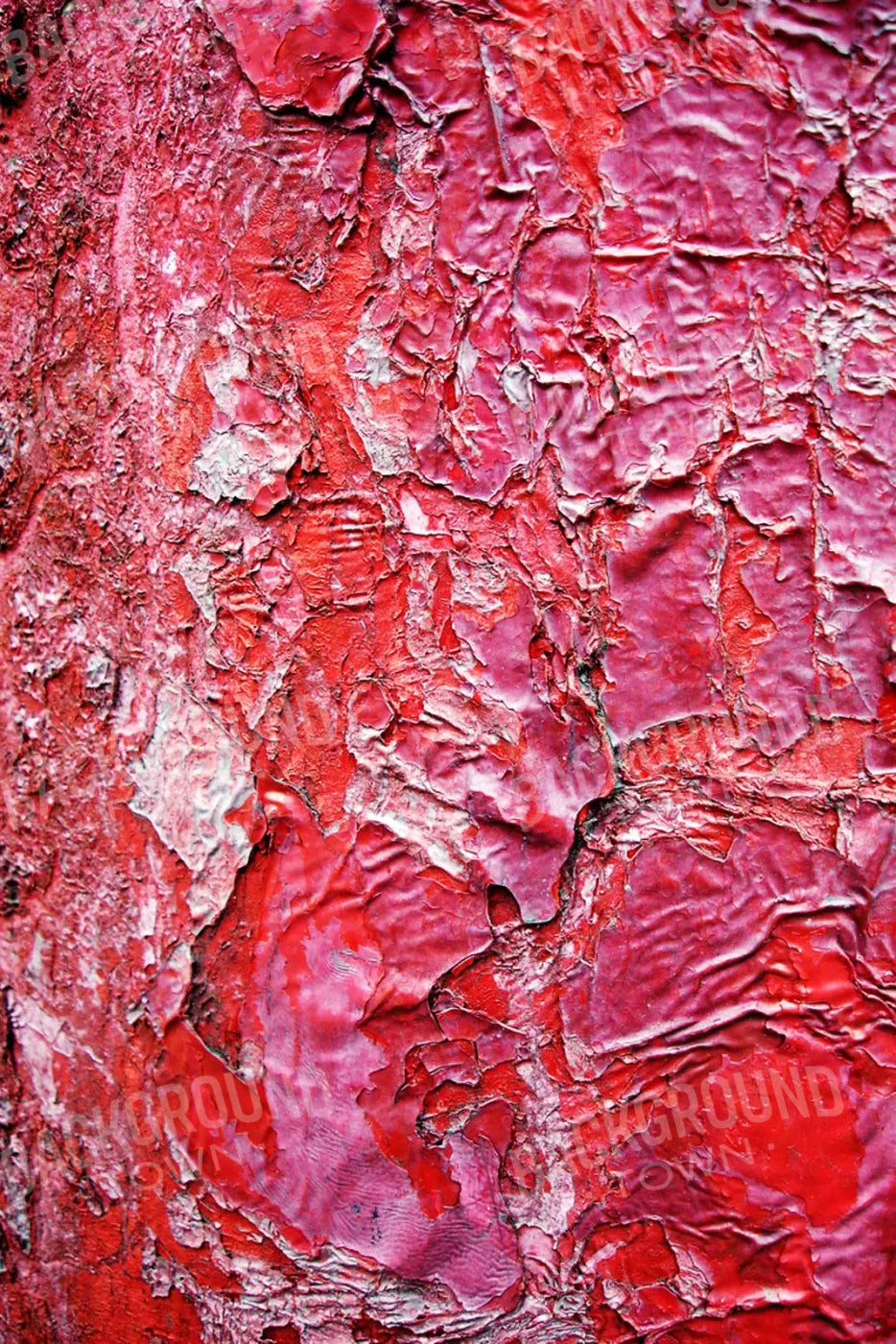 Nook 5X8 Ultracloth ( 60 X 96 Inch ) Backdrop