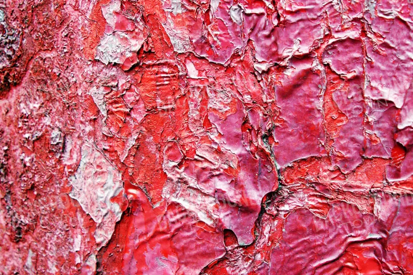 Nook 8X5 Ultracloth ( 96 X 60 Inch ) Backdrop