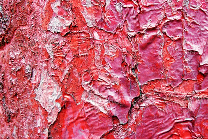 Nook 8X5 Ultracloth ( 96 X 60 Inch ) Backdrop