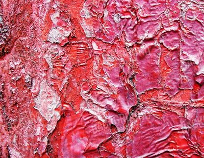 Nook 8X6 Fleece ( 96 X 72 Inch ) Backdrop