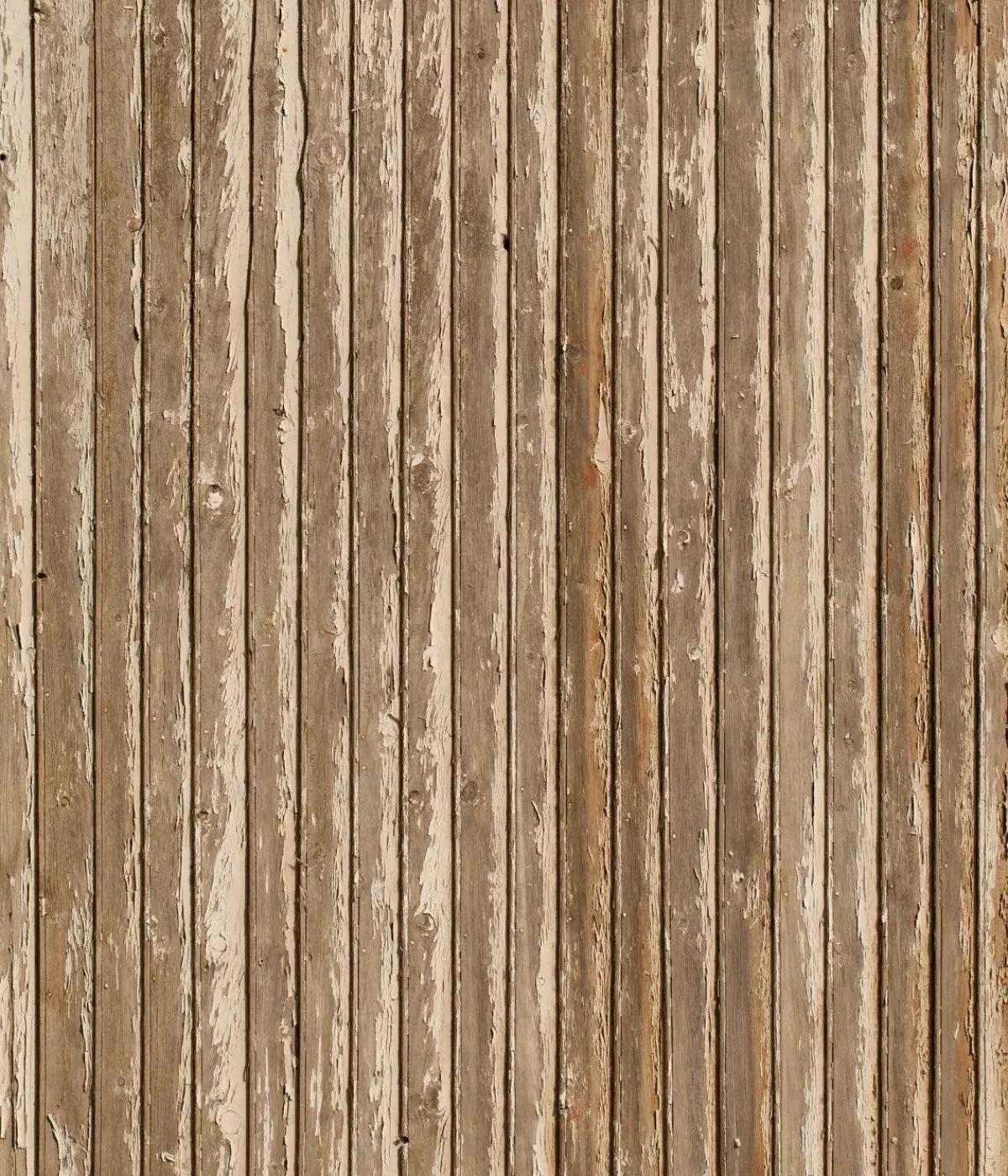 Norbert 10X12 Ultracloth ( 120 X 144 Inch ) Backdrop