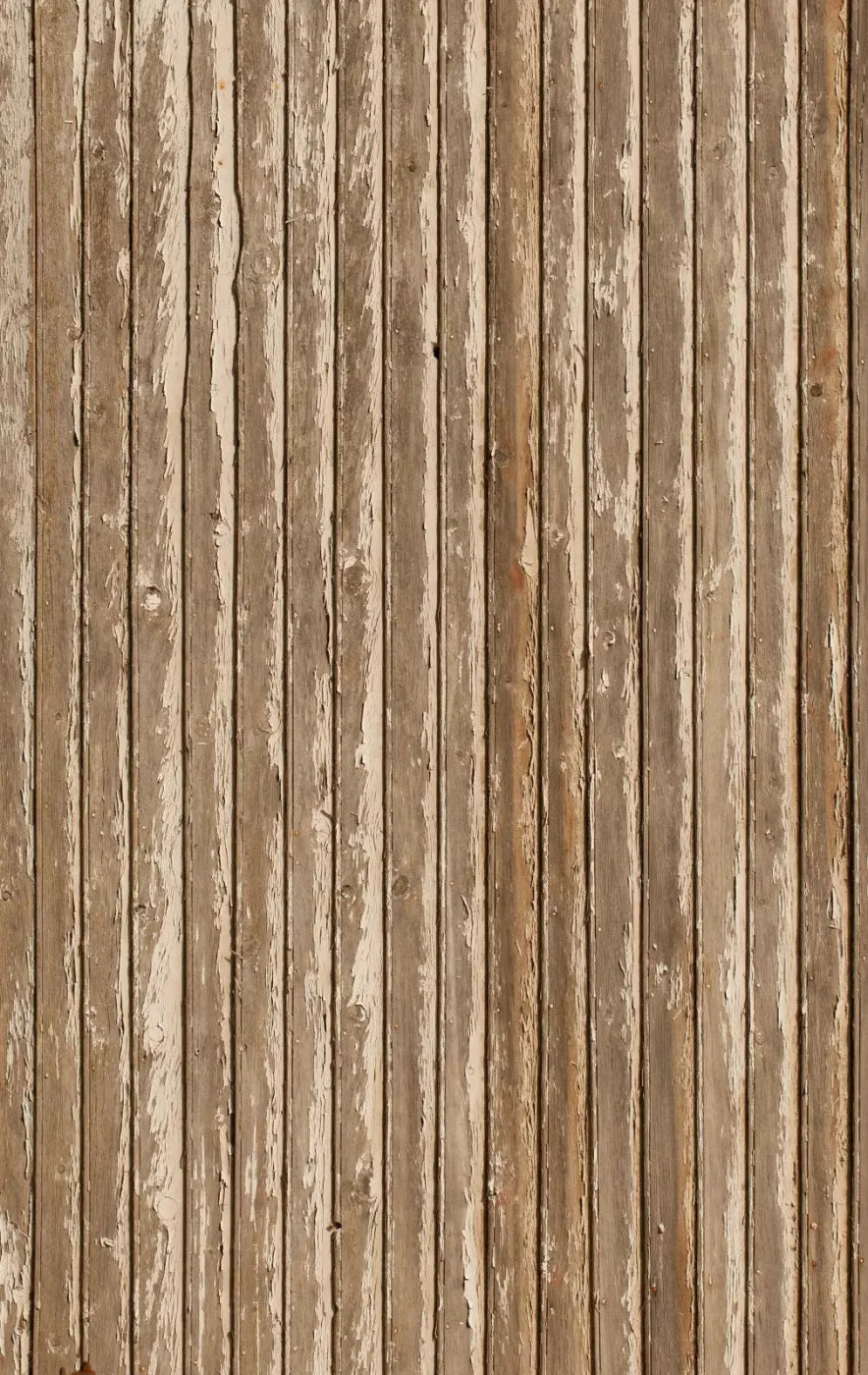 Norbert 10X16 Ultracloth ( 120 X 192 Inch ) Backdrop