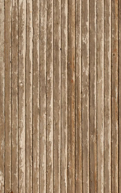 Norbert 10X16 Ultracloth ( 120 X 192 Inch ) Backdrop