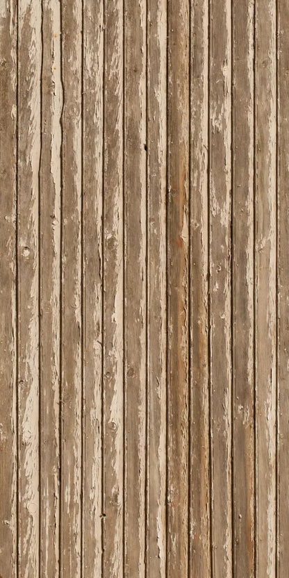 Norbert 10X20 Ultracloth ( 120 X 240 Inch ) Backdrop