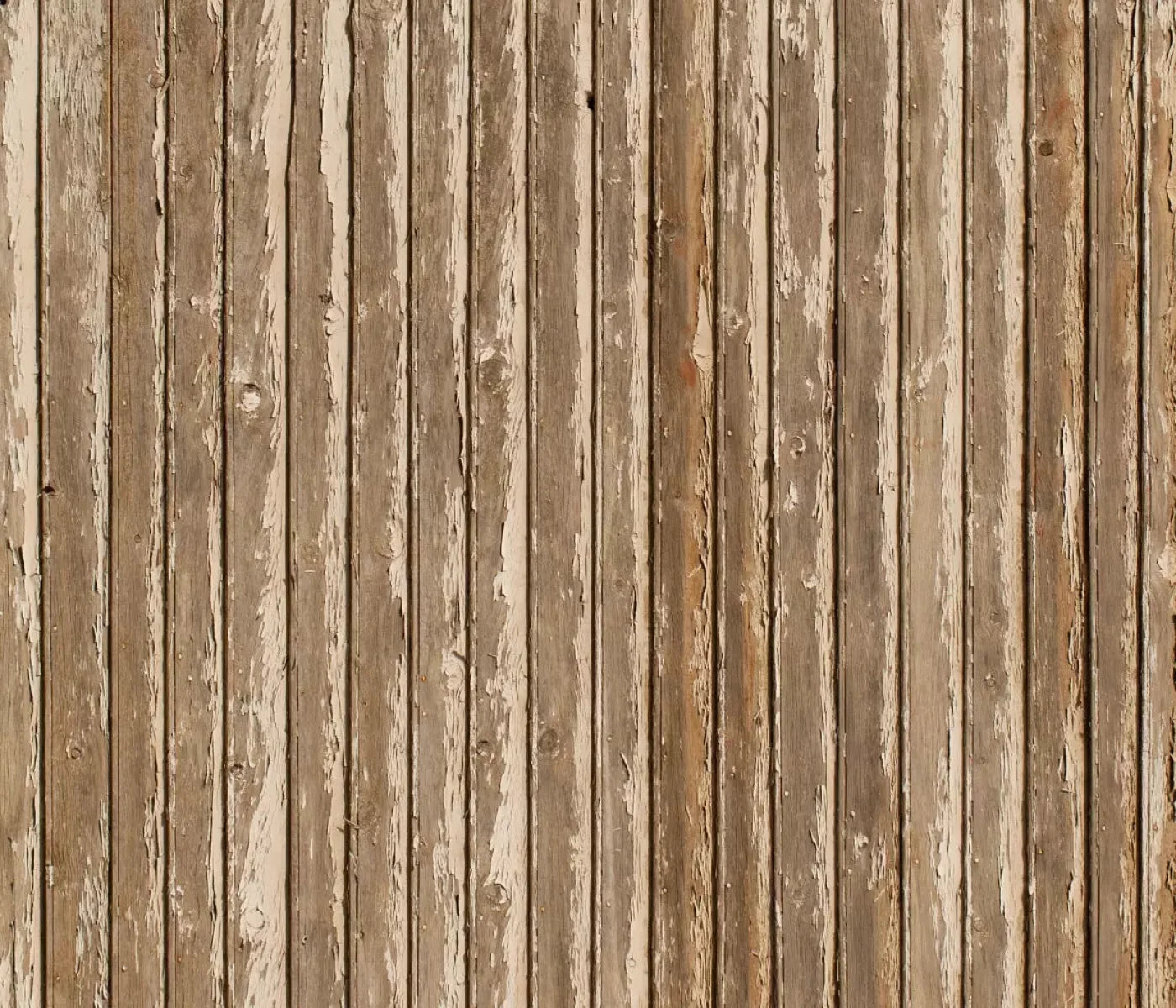 Norbert 12X10 Ultracloth ( 144 X 120 Inch ) Backdrop