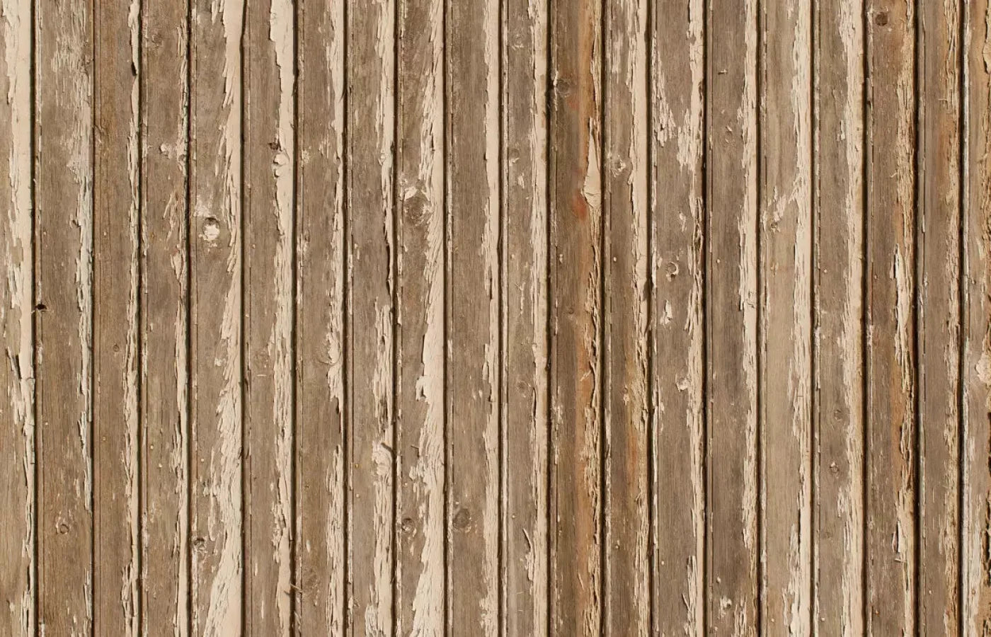 Norbert 12X8 Ultracloth ( 144 X 96 Inch ) Backdrop