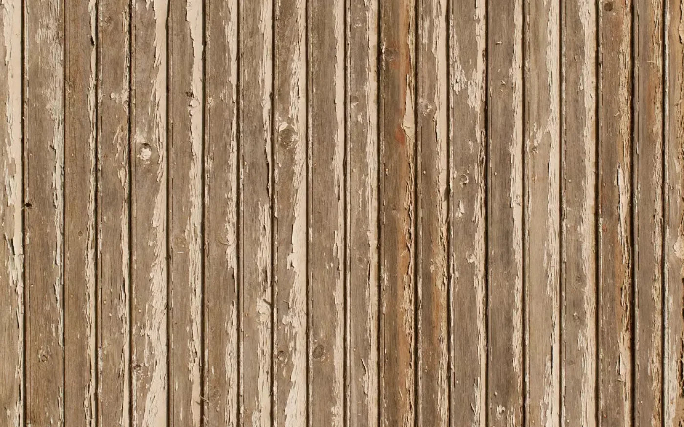 Norbert 14X9 Ultracloth ( 168 X 108 Inch ) Backdrop